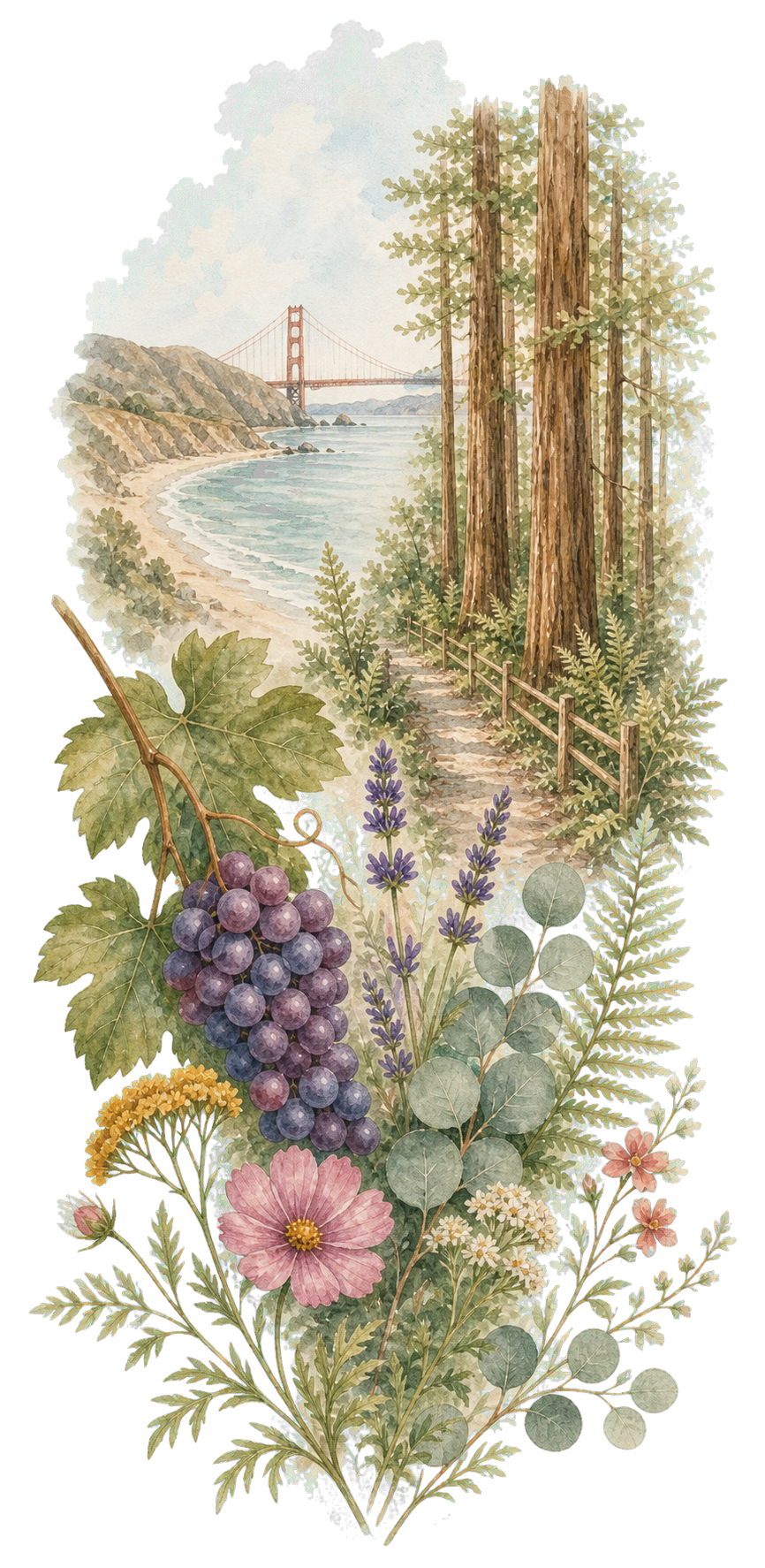 Watercolor Bay Area landscape with coastal and redwood details
