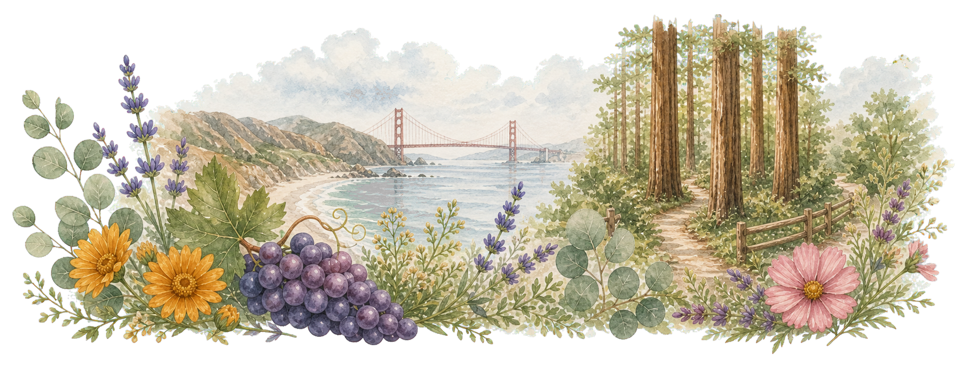Watercolor Bay Area landscape with coastal and redwood details