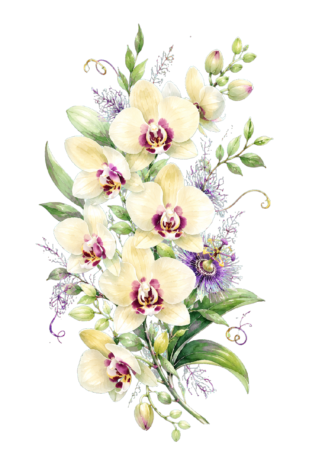 Watercolor orchids and passionflowers