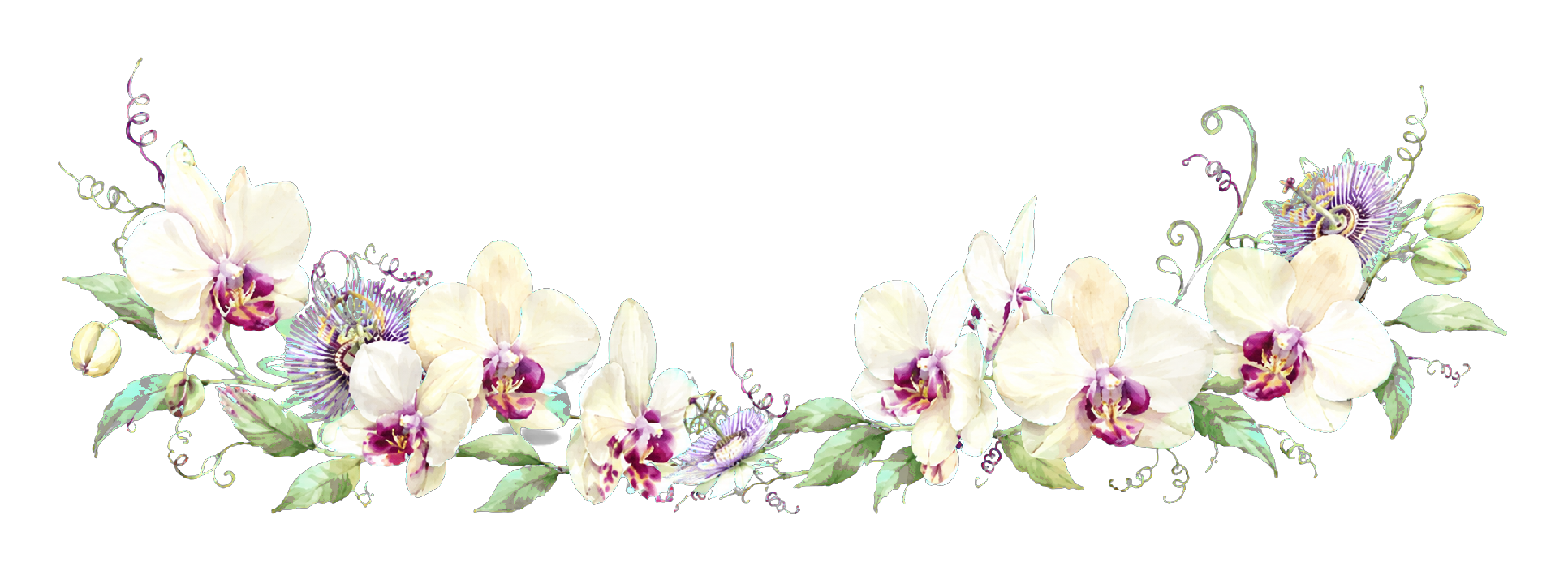 Watercolor orchids and passionflowers