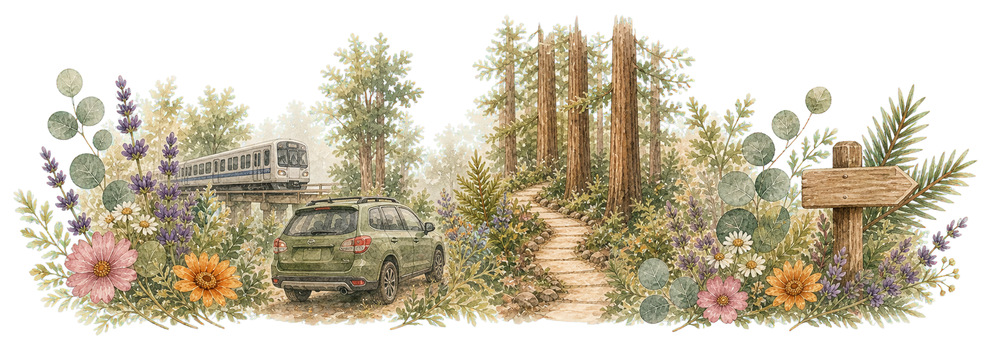 Watercolor garden path, car, transit, and flowers