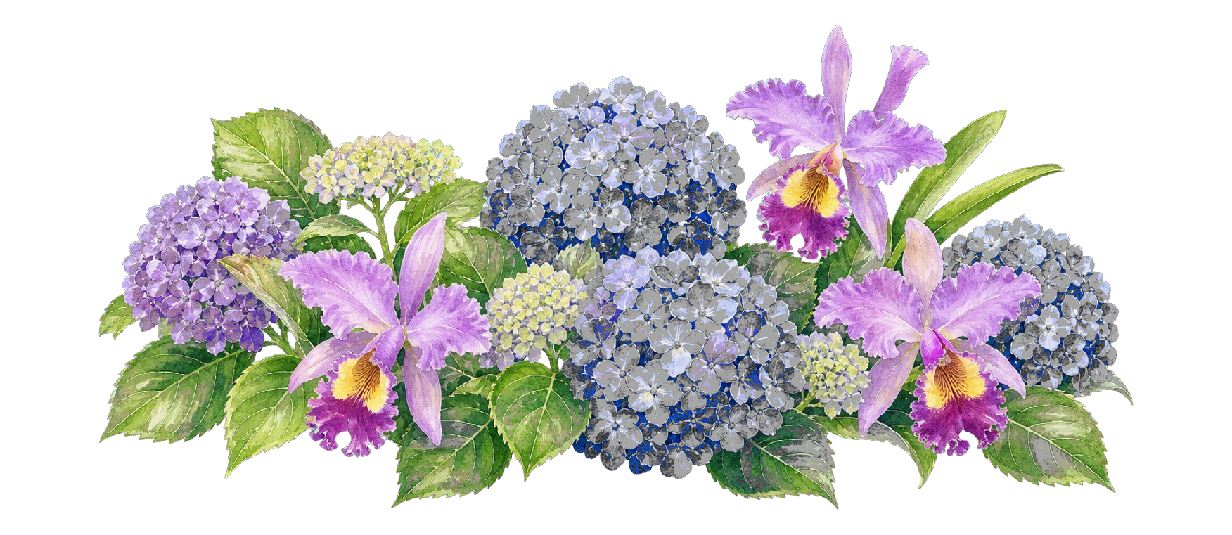 Watercolor hydrangeas and orchids