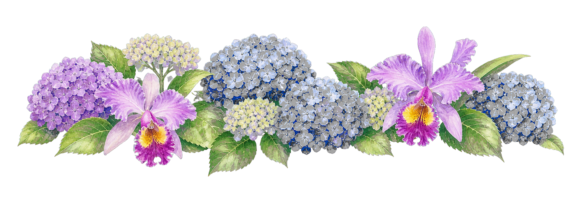 Watercolor hydrangeas and orchids